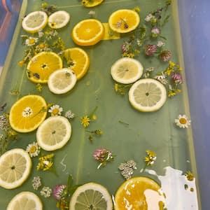 Citrus sensory bin with lemon slices and wildflowers for toddler water play
