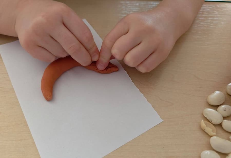 fun dental health preschool activity using playdough and beans
