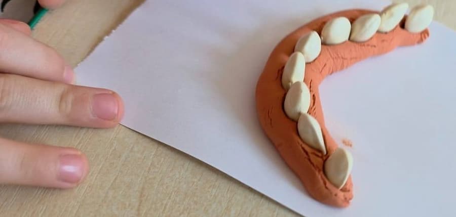 fun dental health preschool activity using playdough and beans