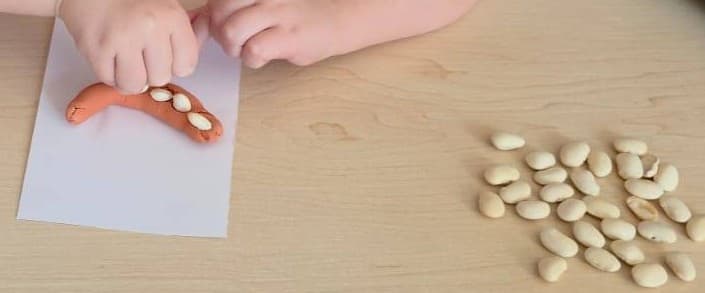 fun dental health preschool activity using playdough and beans