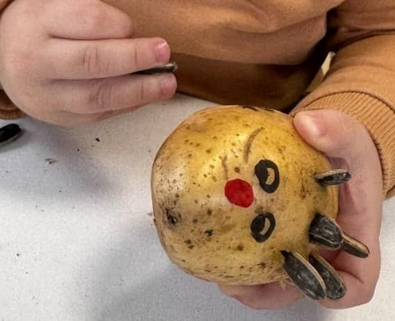 Potato Hedgehog Craft for Kids – Cute & Easy Nature Activity