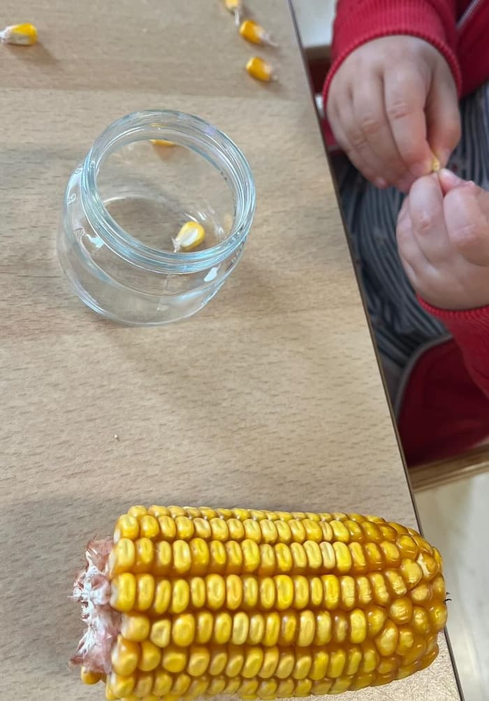 Easy Corn Fine Motor Activity for Toddlers