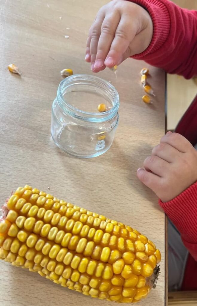 Easy Corn Fine Motor Activity for Toddlers