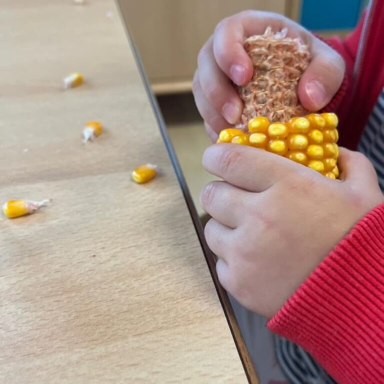 Easy Corn Fine Motor Activity for Toddlers