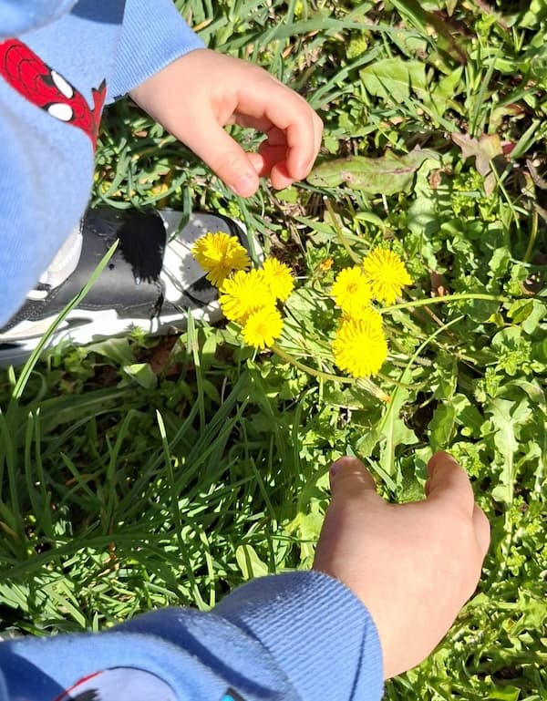 Child collecting flowers outdoors