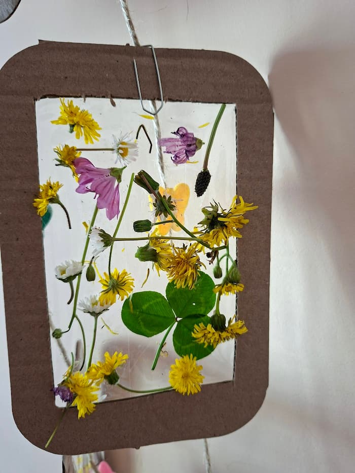 Nature Suncatcher Crafts For Kids Using Real Flowers