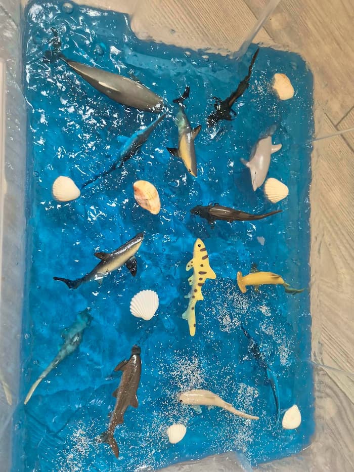 Ocean sensory bin