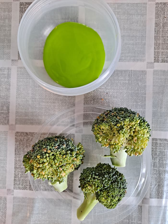Summer Tree Painting with Broccoli (Easy Nature Art for Toddlers)