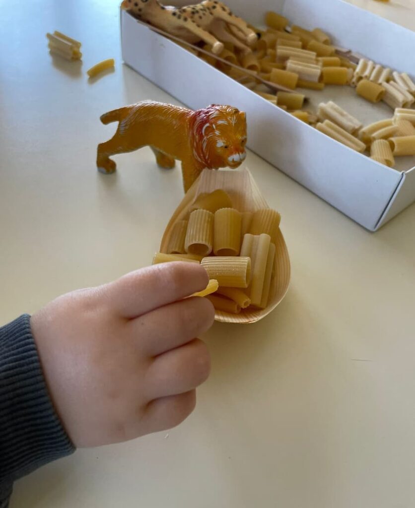  Feeding animals activities
