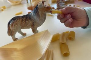 Feeding animals activities