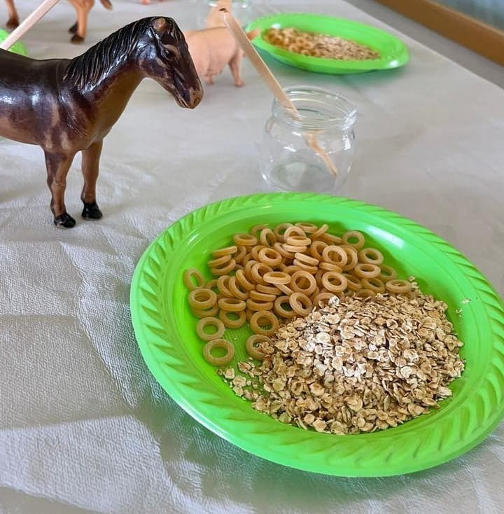  Feeding animals activities
