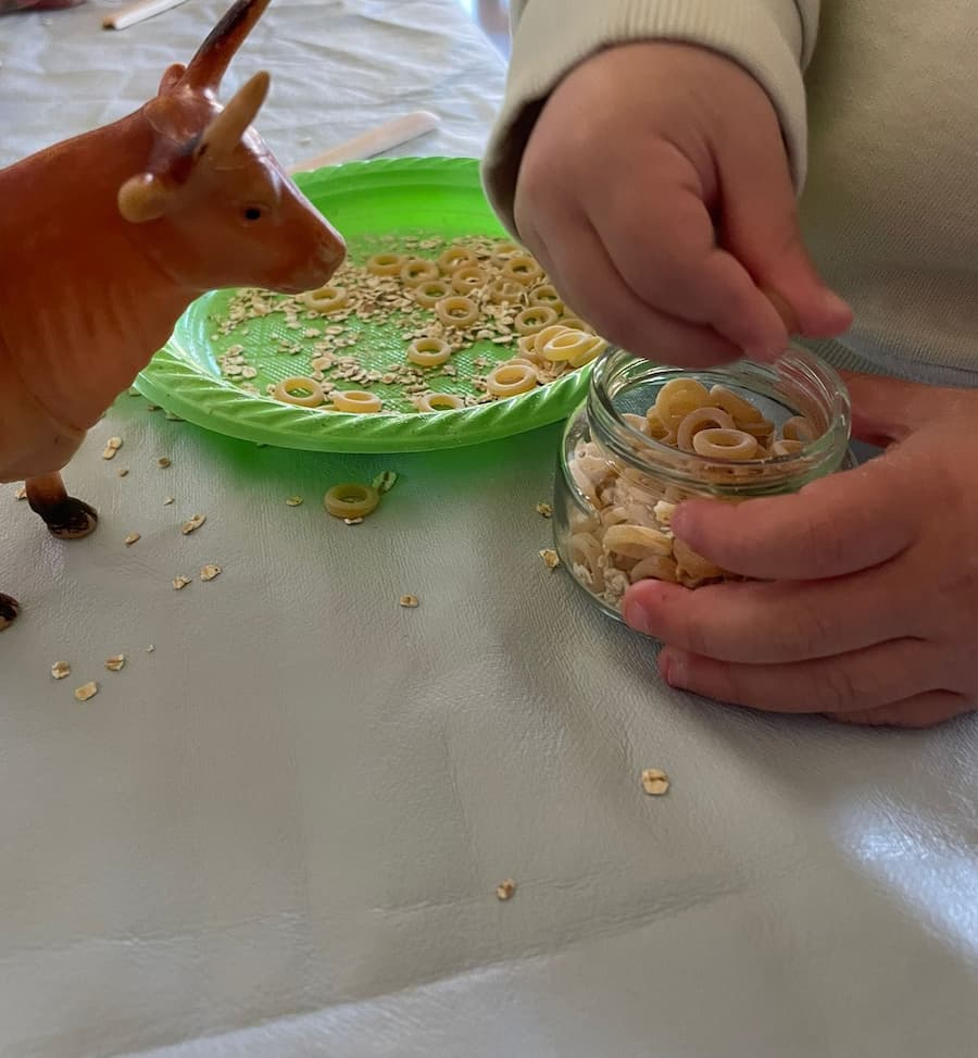 Feeding animals activities
