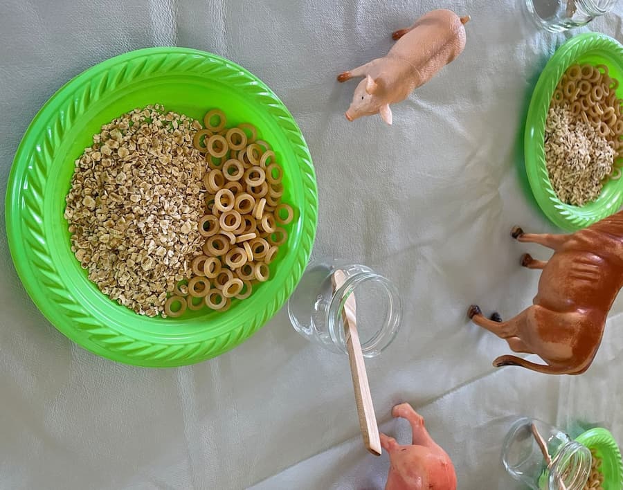  Feeding animals activities
