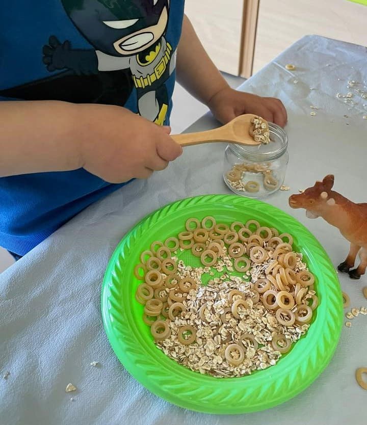  Feeding animals activities
