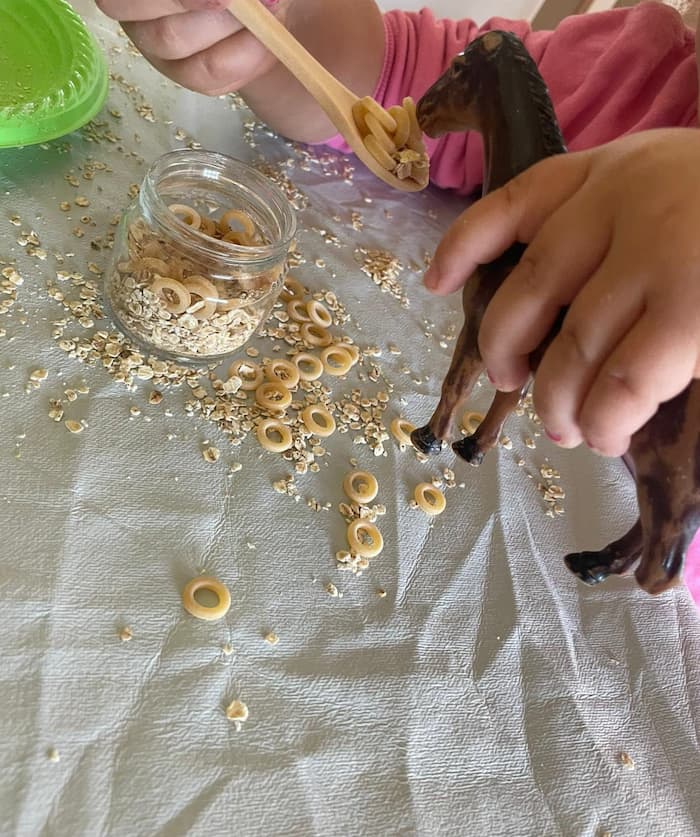  Feeding animals activities
