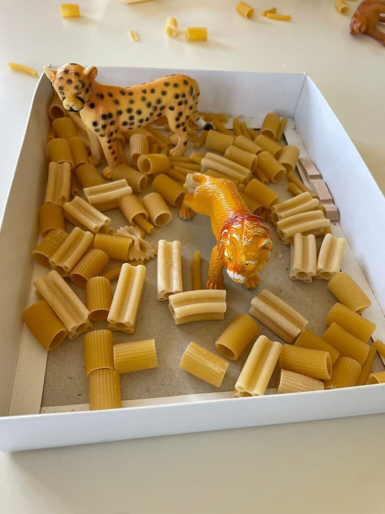  Feeding animals activities
