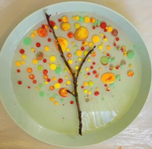 Milk and oil experiment