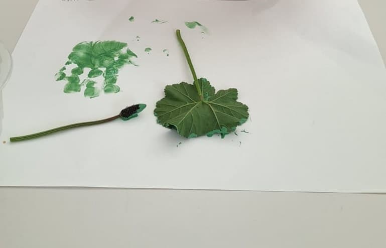 Nature Printing with Leave