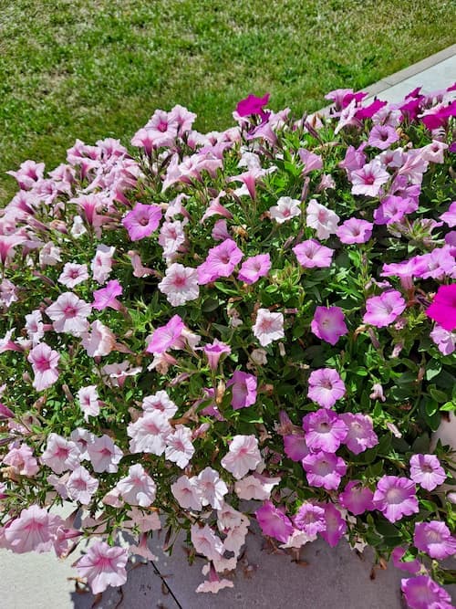 How to Start a Blog as a Busy Mom With No Experience.Here’s How to Start From Zero 