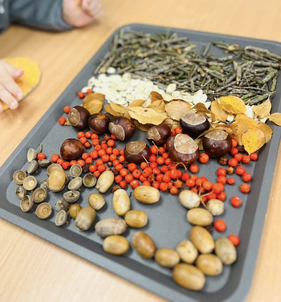 Tray of acorns, chestnuts, berries, leaves and sticks for nature playdough