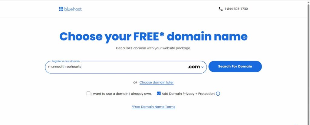 Bluehost's WordPress hosting plans include a free domain for your first year with eligible 12- or 36-month hosting terms,